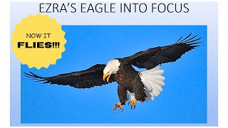 EZRAS EAGLE INTO FOCUS [upl. by Franckot291]