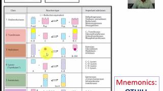 How to remember enzyme classification easily [upl. by Aneret]