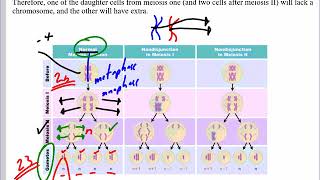 Mr Walkers Biology 30 Nondisjunction Lesson [upl. by Parrish]