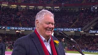 Singing with Max Boyce at the 6 Nations  Wales v France [upl. by Nnomae]