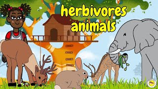 Herbivores Animals Names  Herbivores  Herbivores Animals  20 Herbivores Animals Name And Picture [upl. by Anauqcaj583]