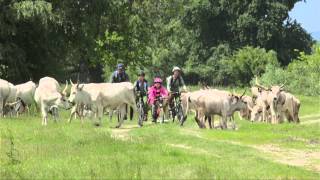 DunaDráva Nemzeti Park [upl. by Itoyj]