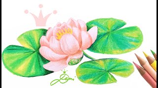 Seerose zeichnen lernen 🌸 Blume malen 🌸 Deni zeichnet Blumen 🌸 How to draw a water lily [upl. by Willi]