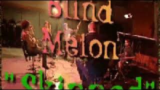 Blind Melon  Skinned Live 1995 [upl. by Airetnuhs]