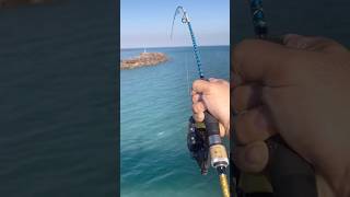 Huge Fish  Nightcliff Jetty Fishing  Darwin NT [upl. by Schecter196]