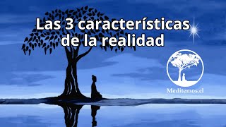 Las 3 características de la realidad Anicca Dukkha y Anatta [upl. by Ecinaj771]