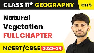 Natural Vegetation  Full Chapter Explanation  Class 11 Geography Chapter 5 [upl. by Mori]