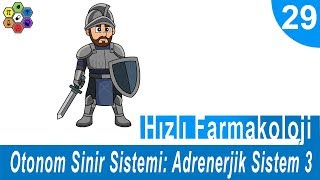 OTONOM SİNİR SİSTEMİ ADRENERJİK SİSTEM 3  Hızlı Farmakoloji 29 [upl. by Frick]