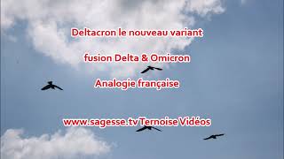 Deltacron nouveau variant fusion Delta amp Omicron Analogie  un peu fusion Macron Pécresse Deltacron [upl. by Ennovyhc216]