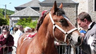 26° Concours du Cheval de Trait Ardennais à Ambly [upl. by Fari]