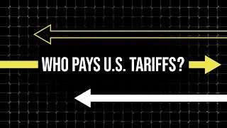 Who Actually Pays Tariffs [upl. by Smitty553]