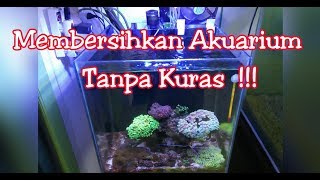 Membersihkan Akuarium Tanpa Kuras [upl. by Tiersten]