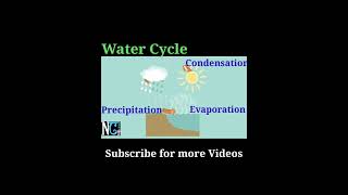 Water Cycle [upl. by Ailahs]