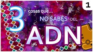 🔬 ¿Qué hace el ADN 🔬 1 La expresión del ADN para Biología Molecular [upl. by Dabney391]