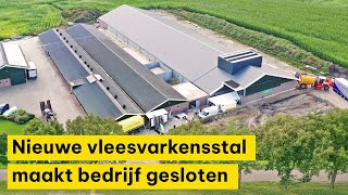 Nieuwe vleesvarkensstal in Collendoorn maakt bedrijf gesloten [upl. by Etnwahs]