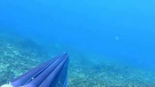 Spearfishing CroatiaHvar 14122014 [upl. by Cathi]