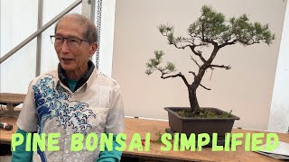 Pine Bonsai Simplified [upl. by Nyltiac]