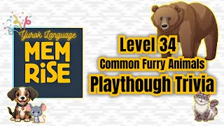 Yurok Memrise Level 34 Common Furry Animals Playthrough [upl. by Gelya]