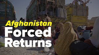 Three things you should know about forced return of Afghans from Pakistan [upl. by Issi]