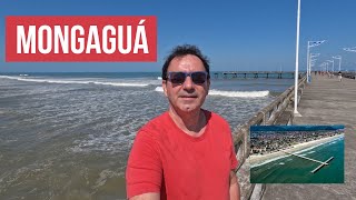 Conheça MONGAGUÁ no Litoral Sul Paulista [upl. by Berghoff297]