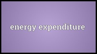 Energy expenditure Meaning [upl. by Wendelina]