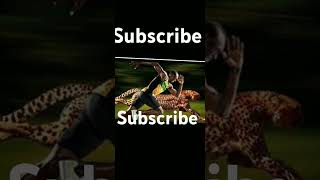 Usain Bolt The Worlds Fastest ManWorld Athletics  viralyoutubetrending [upl. by Bekha]