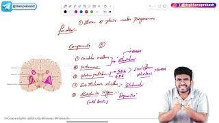 5 Parkinsons Disease Pathology  USMLE Step 1 [upl. by Stratton629]