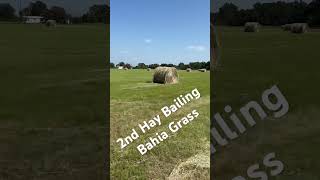 Hay Bailing Bahia Grass [upl. by Rodriguez]