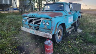 I BOUGHT A 1962 DODGE FARGO D300 PROJECT [upl. by Dlanar668]