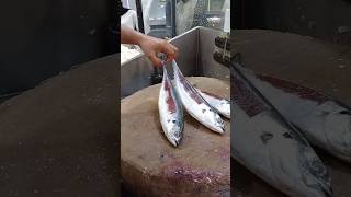 Scad Fish Fast Cutting Skillsshorts [upl. by Lisan]