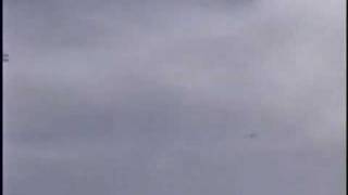 RC Glider Landing Flamingo  sailplanes [upl. by Roselani]