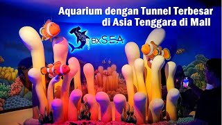 Keliling Full New Oceanarium BXSEA❗ The big tunnel aquarium in Mall Bintaro Xchange  BXC Tangsel [upl. by Enortna]