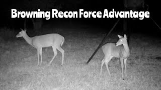 Deer Feeder Cam 1 Browning Recon Force Advantage Trail Camera Nov 2 2024 [upl. by Sirtemed]