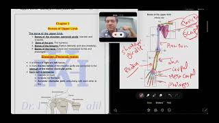 Upper Limb Chapter 1 Bones part 1 [upl. by Enetsirhc]