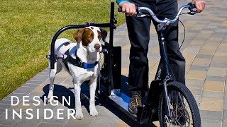 Dog Powered Scooter Exercises You And Your Pup [upl. by Asin]