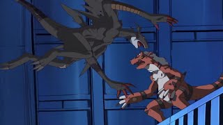 AMV  Growlmon VS Devidramon  Rise [upl. by Cesaria]