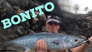 Fishing Lanzarote  lure fishing heaven  Megabass Zonk [upl. by Assirec166]