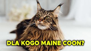 Dla Kogo Mainecoon Wady Zalety Jedzenie Tresura Warunki Charatker [upl. by Alwin851]