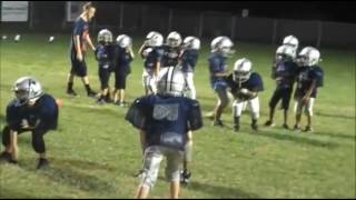 Best little League football hits [upl. by Danika]