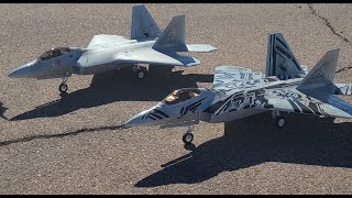 Freewing F22 Raptor 90mm tandem flight [upl. by Ozan]