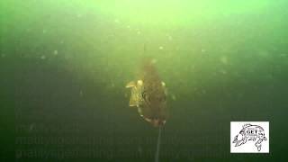 Underwater spinner video for walleye and pike [upl. by Amelus602]