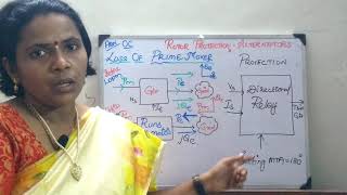 10 Protection of Rotor in alternator under abnormal condition Loss Of Prime MoverMotoring [upl. by Gnilrad25]