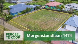 Morgenstondlaan 1474 • 102011 m² Perceel te Morgenstond Paramaribo Suriname [upl. by Eustazio669]