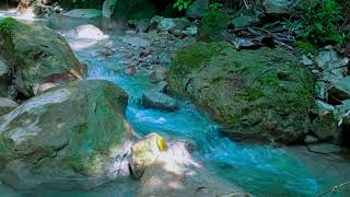 Calming Forest Sounds Soothing River Sounds Nature for Good Sleep Healing Soul [upl. by Drexler]