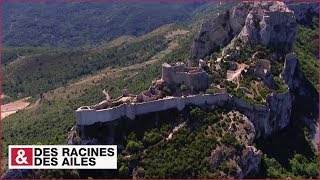 Les imprenables forteresses cathares  Queribus et Peyrepertuse [upl. by Kinnie300]