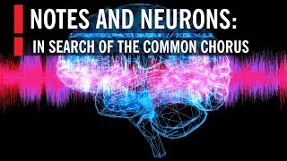 Notes and Neurons In Search of the Common Chorus [upl. by Yrallam]