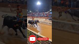 ಪಣಪಿಲ ಕಂಬಳ ಸ್ನೇಹ ಕೂಟ tulunadaporlu kambala kambalafan shortsviral [upl. by Ivek]