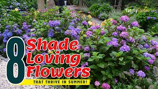 TOP 8 ShadeLoving Flowers That THRIVE in Summer🌞🌻🌷  Gardening Ideas [upl. by Junna]