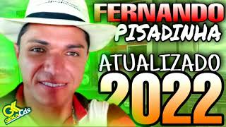 FERNANDO PISADINHA ATUALIZADO 2022 [upl. by Ecarret]