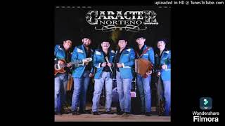 Caracter Norteño Vs Grupo De Parranda  Mix Cumbias [upl. by Eeresid]